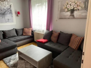 Spacious 2 bedroom apartment Zell-am-See town center Zell Am See